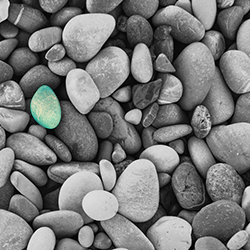 Concise Separations ofrece columnas IC basadas en eluyentes de carbonato o ácido salicílico en una variedad de capacidades para optimizar sus necesidades de separación.
Beneficios: 

Los sustratos poliméricos producen una estabilidad de pH de 0 a 14.
Disponible para modos de detección suprimidos y no suprimidos.
Compatible con disolventes.
Selectividad única.
Ampliamente utilizado para pasta de dientes, refrescos, suministros de agua potable municipal y plantas de tratamiento de aguas residuales.
Las columnas IC son compatibles con los sistemas Dionex, Metrohm, Hach/Lachat.





Ref.
Descripción
Longitud
 ID


ANX 99 5511
ICSep AN1 Fast Analysis
PEEK
100mm


ANX 99 5518S
ICSep AN1 SS
SS
100mm


ANX 99 7613
ICSep AN300H (for EPA Method 300.a)
Peek
150mm


ANX 99 7620
ICSep AN300 (for EPA Method 300.a) 
Peek
150mm


ANX 99 7633
ICSep AN300 Column Kit (includes column, guard column, coupler)
Peek
150mm


ANX 99 7643
ICSep AN300 Cartridge Kit (includes column, guard holder, cartridges, coupler)
Peek
150mm


ANX 99 8505
ICSep AN2 Fast Analysis
Peek
150mm


ANX 99 8511
ICSep AN1
Peek
250mm


ANX 99 8514
ICSep AN1SC
Peek
250mm


ANX 99 8515
ICSep AN2
Peek
250mm


ANX 99 8516
ICSep AN300B (for EPA Method 300.b)
Peek
250mm


ANX 99 8518
ICSep AN2 HC, High Capacity
Peek
200mm


ANX 99 8531K
ICSep AN1 Column Kit (includes column, guard column, coupler)
Peek
250mm


ANX 99 8536K
ICSep AN300B Column Kit (includes column, guard column, coupler)
Peek
250mm


ANX 99 8538K
ICSep AN2 HC Column Kit ( Includes column, guard column, coupler)
Peek
200mm