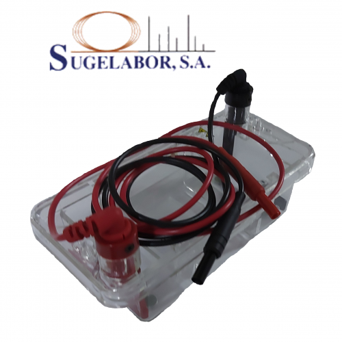 SISTEMA DE ELECTROFORESIS + CELDA COMPLEMENTO SISTEMA DE ELECTROFORESIS + CELDA COMPLEMENTO