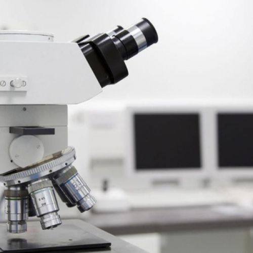 Madrid laboratorio complementos tienda