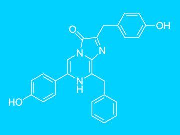 Coelenterazina para uso en aplicaciones de investigación que incluyen ensayos de genes informadores, ensayos ELISA, detección de iones de calcio, ensayos con animales completos y otros ensayos bioquímicos