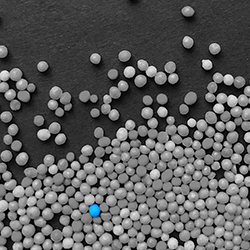 Concise ofrece la herramienta correcta para cada ensayo de azúcar porque hemos diseñado la gama más amplia de columnas de carbohidratos para ajustar su separación