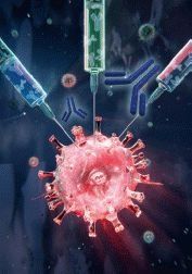 La fase móvil basada en arginina reduce la unión de proteínas no especifícas a muchas columnas SEC sin afectar a la estructura de las proteínas.




Columnas
Grado
Almacenamiento
Ref.


Arg SEC Mobile Phase(Standard)
SP
Refrigerate
16999 31


Arg SEC Mobile Phase(Strong)
after opening
17000 51


Arg SEC Mobile Phase(Mild)
16998 4