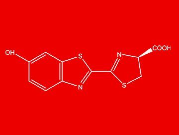 SPECIALTY REAGENTS - D-LUCIFERIN