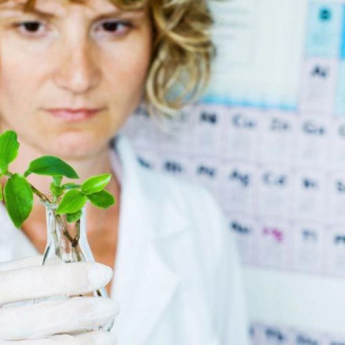 tienda complementos laboratorio Madrid