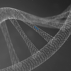 Concise Separations ha diseñado una esfera de divinilbenceno de poliestireno única que está funcionalizada para una selectividad superior de ADN, oligonucleótidos y ARN monocatenario o bicatenario.
Beneficios:

El eluyente volátil es una herramienta de purificación ideal.
Separaciones superiores de ARN.
Límites de detección de mutaciones muy bajos.
Inigualable reproducibilidad columna a columna, inyección a inyección.
Tampones preenvasados.
Semiprep disponible.





Ref.
Descripción
Longitud
 ID


RPC 99 2150
RiboSep™ RNA Semi Prep Guard
50mm
21.2mm


RPC 99 3550
RiboSep™ RNA Column
50mm
4.6mm


RPC 99 3810
RiboSep™ RNA Column
50mm
7.8mm


RPC 99 2110
RiboSep™ RNA Semi Prep
100mm
21.2mm


RPC 99 3010
RiboSep™ RNA Semi Prep
100mm
30mm


RPC 99 3015
RiboSep™ RNA Semi Prep
150mm
30mm