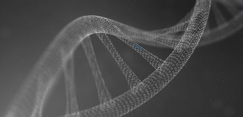 DNA