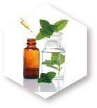 ESTÁNDARES DE PRODUCTOS NATURALES DE NAGARA SCIENCE